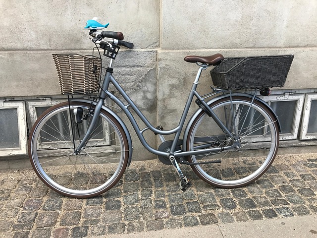 Cykelkurve til hunde – hvad siger loven?